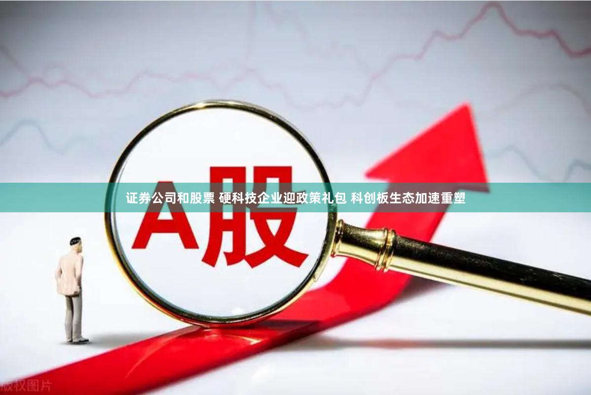 证券公司和股票 硬科技企业迎政策礼包 科创板生态加速重塑