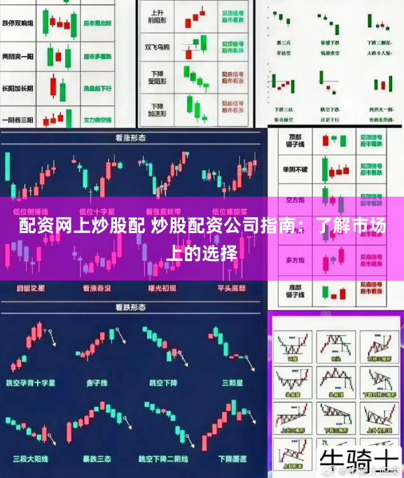 配资网上炒股配 炒股配资公司指南：了解市场上的选择